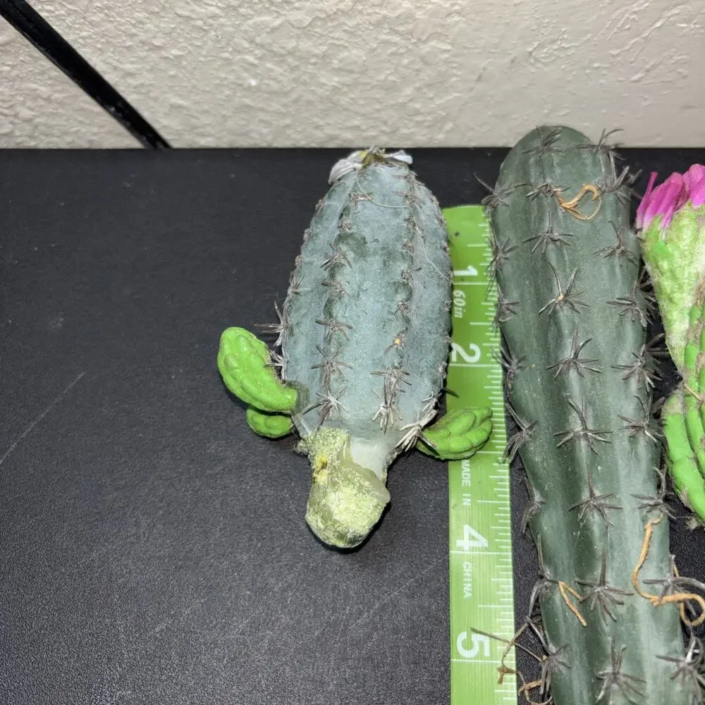 10 Faux Cactus Fake Saguaro Southwestern Plastic Succulent Decor B